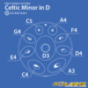 Solaris Scale Label Map Celtic Minor in D (9 noter)